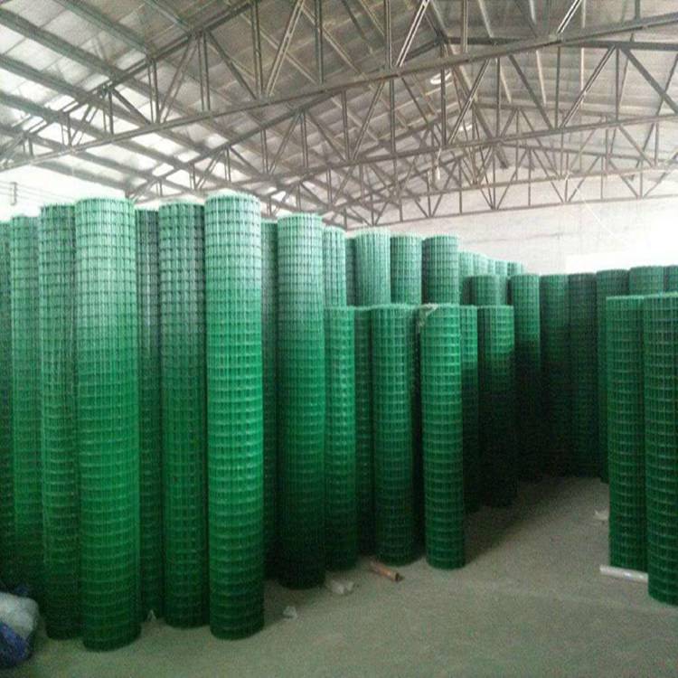 【荷兰网养鸡网